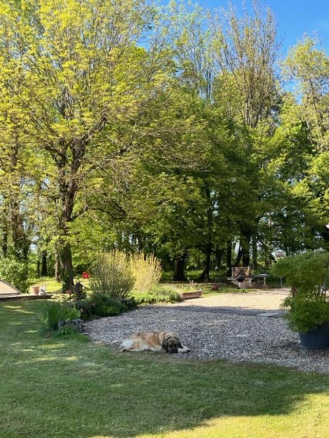 Nature Et Calme Apartamento La Chapelle-Saint-Sauveur  Exterior foto